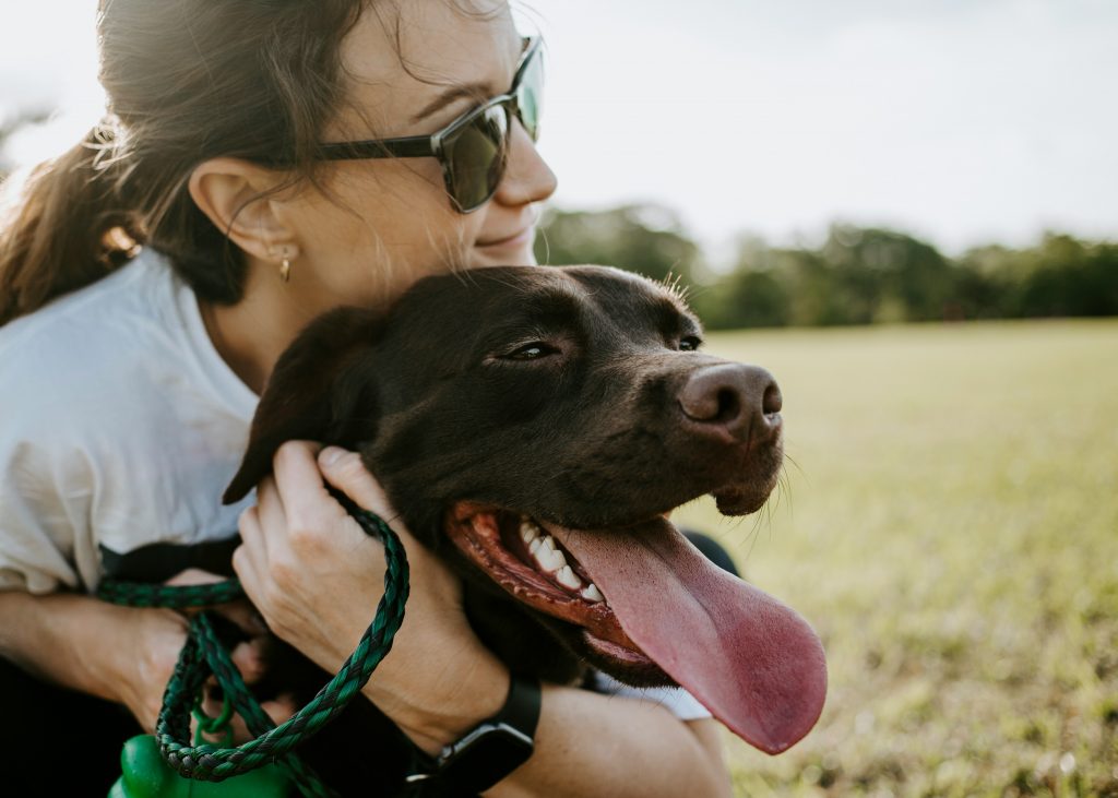 Le chien, meilleur ami de la femme